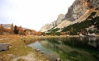 Environment